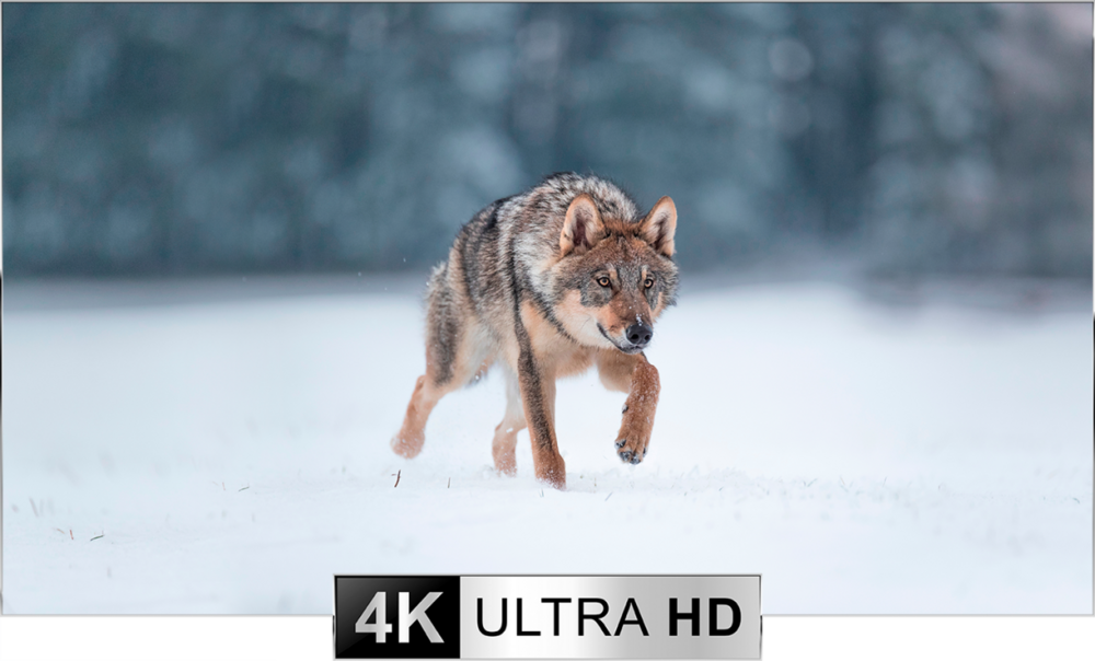 Pulsar Thermion Duo DXP55 Multispectrale thermische richtkijker