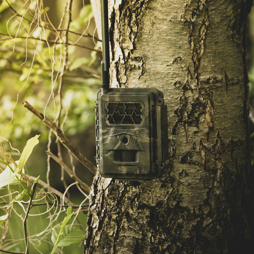 Seissiger Special-Cam LTE wildcamera Supersim Edition