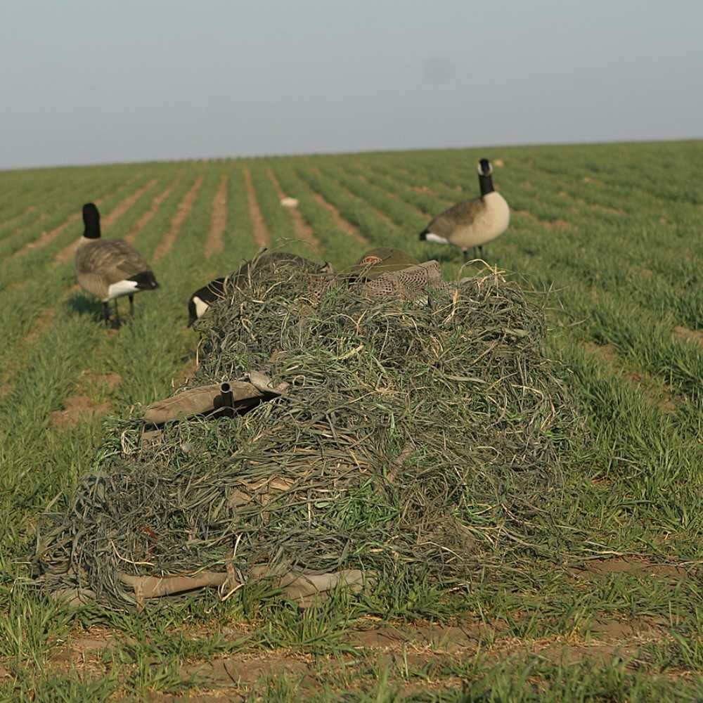 Avery KillerWeed Winter Gras, 