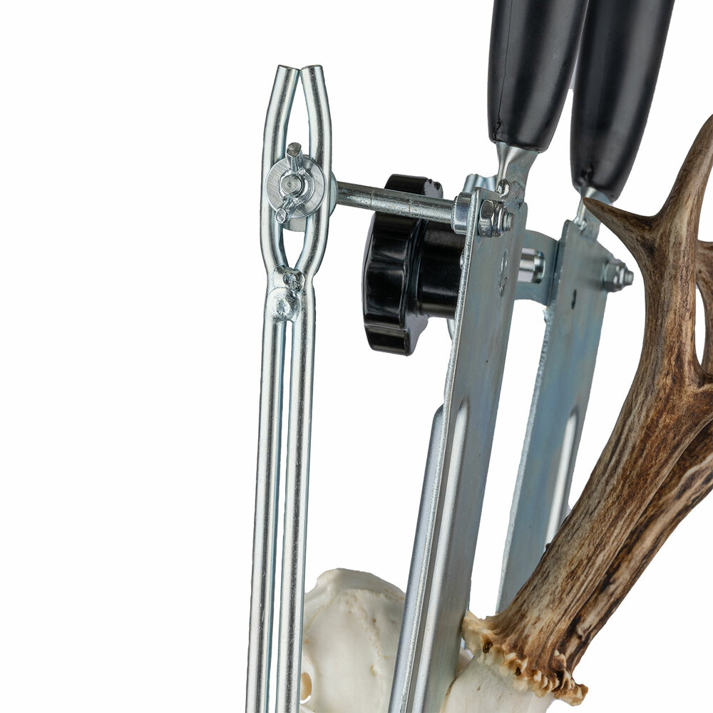 Trofe&euml;en schedel zaagset voor ree