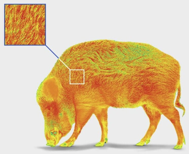 Pulsar ORYX LRF XG 35 Warmtebeeld Handkijker / Spotter