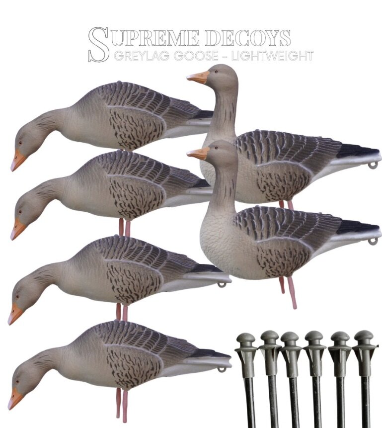 DK WAI Supreme Lightweight - Grauwe gans