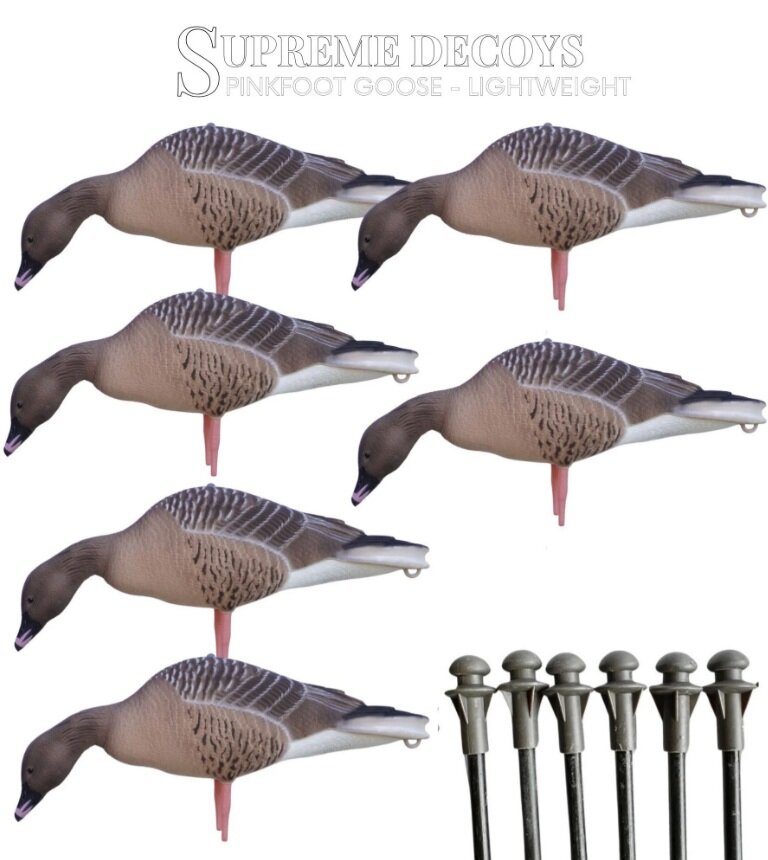 DK WAI Supreme Lightweight - Kolgans