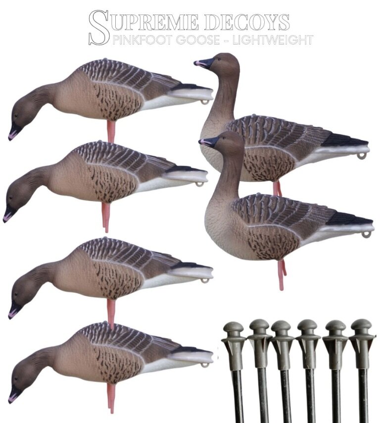 DK WAI Supreme Lightweight - Kolgans