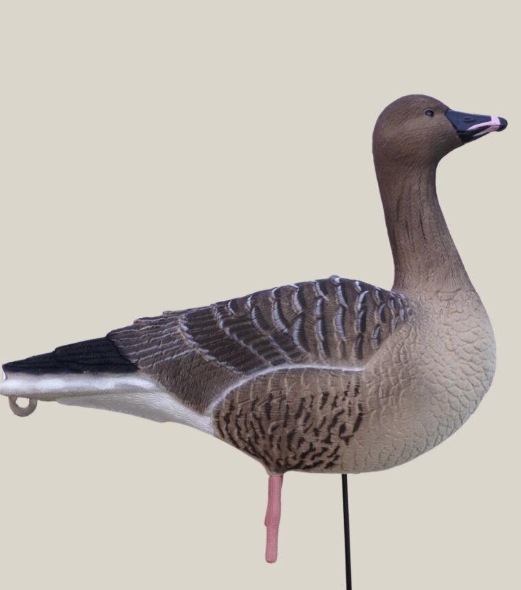 DK WAI Supreme Lightweight - Kolgans