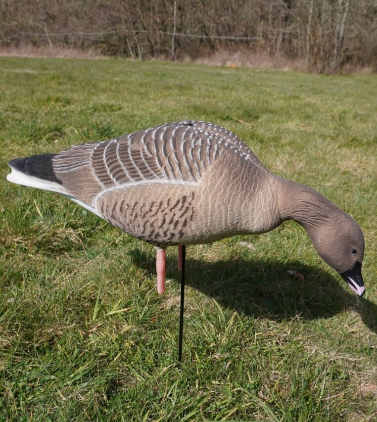 DK WAI Supreme Lightweight - Kolgans