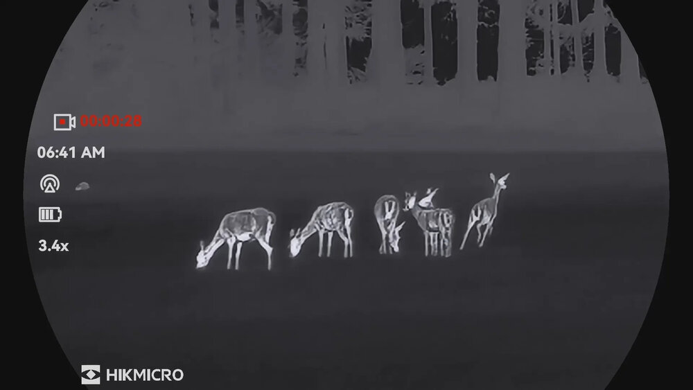 HikMicro Lynx 3.0 LH35  ultracompacte warmtebeeldkijker voor jacht &amp; observatie