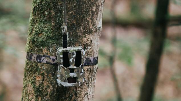 Hunter 4G Mini &ndash; Compacte wildcamera met AI-herkenning en laagste gebruikskosten