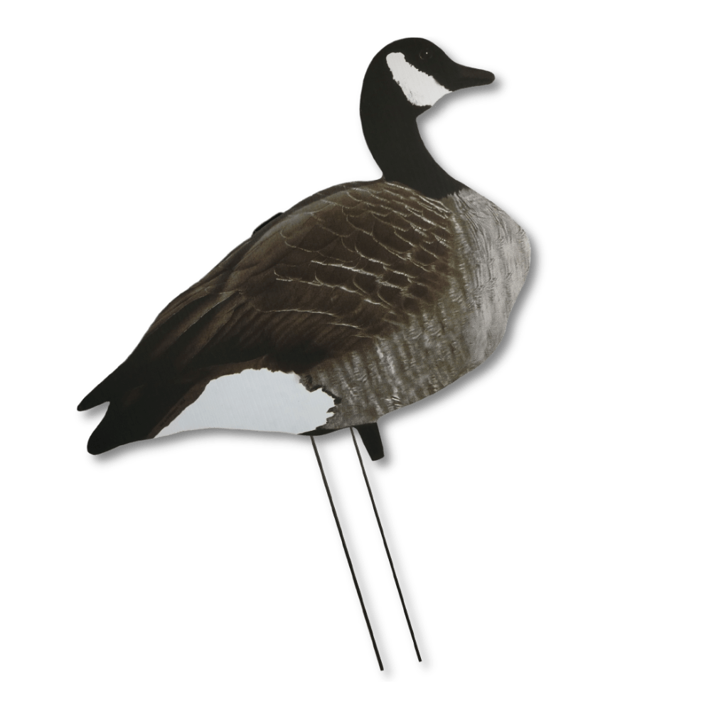 Big Al's Silhuet Canada gans