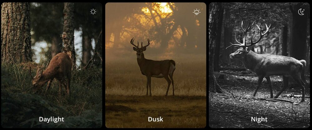 HIKMICRO ALPEX Pro A50 PL dag en nacht Richtkijker met afstandsmeter