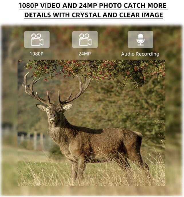 Stealth Gear Hedgehog 1080p 4G Wildcamera