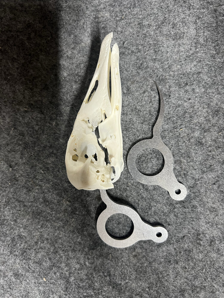 Ganzenpin Birdpin&ndash; Humaan en snel doden van ganzen  Professioneel jachthulpmiddel