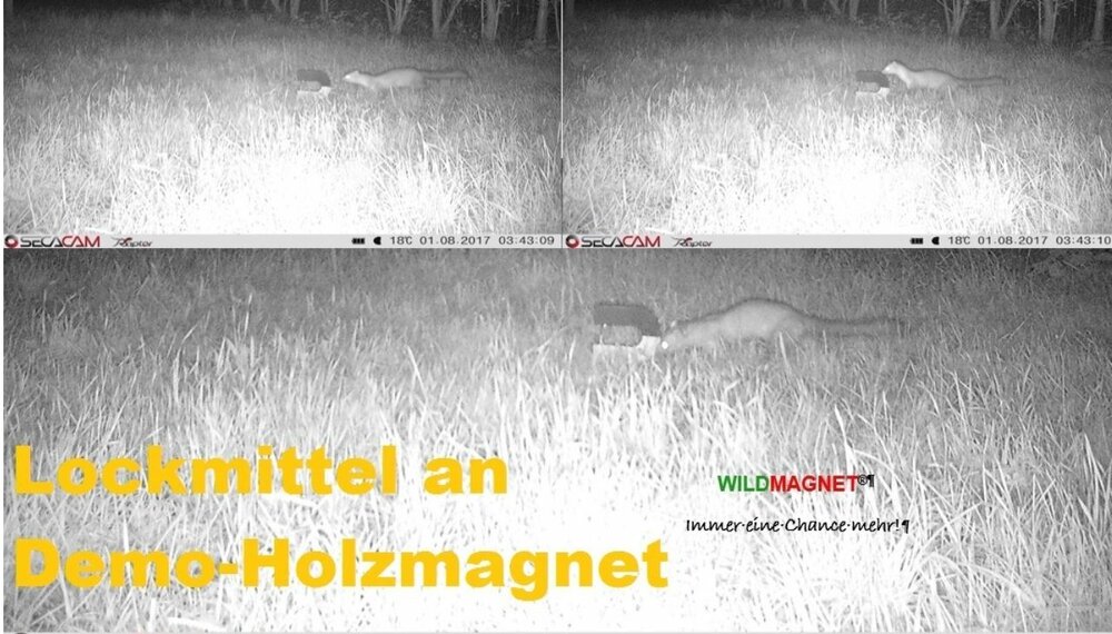 Wildmagnet lokmiddel 30 gram