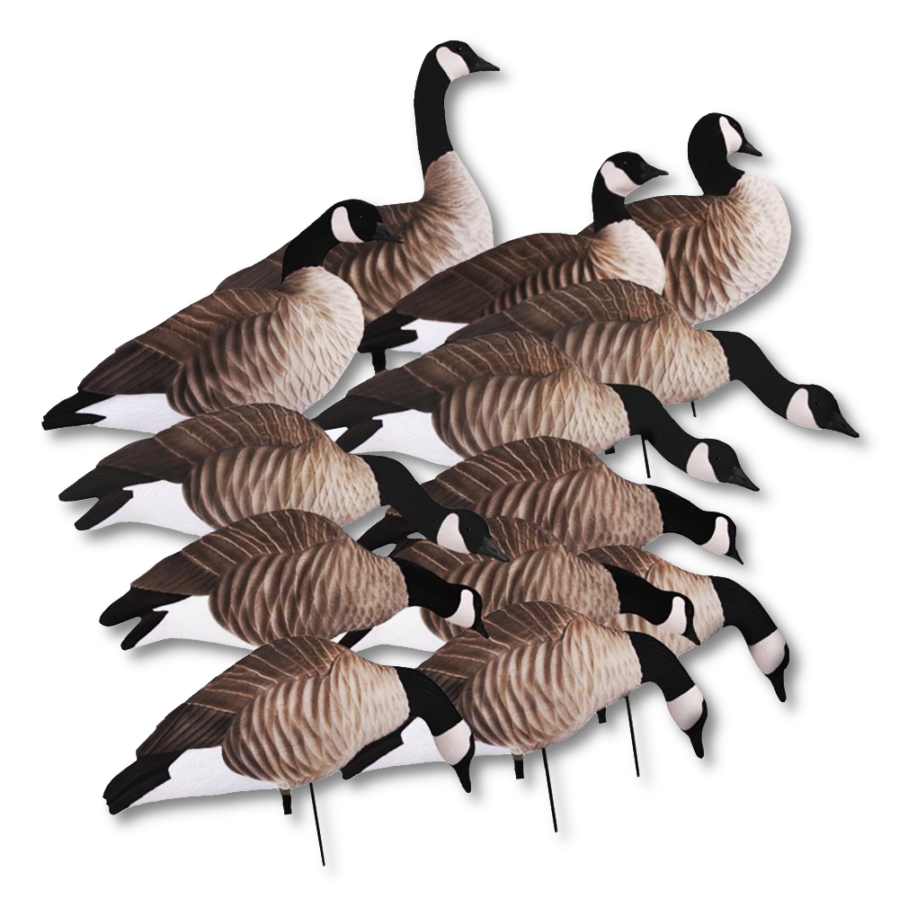 GHG full body Canadese gans lokkers (12st.)