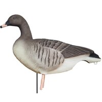 DK WAI Buster kleine rietgans lokkers