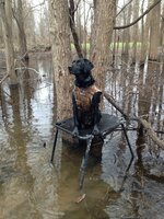 Dokken&#039;s Neopreen hondenvest x-treme