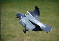 Sillosocks hypaflap duif