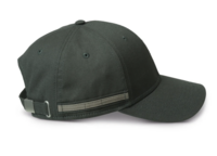 Swarovski optik SC cap