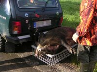 Deep 210 Wildbak (1020x530x210) met snelsluiting