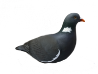 Final Approach Last pass  houtduif set van 12 stuks