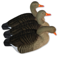GHG grauwe gans schalen 12st, geflockte grauwe gans lokkers