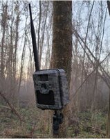 WildCamera ICU CLOM cam5 - 4G / LTE, gratis 2000 coins/ foto&#039;s+16GB geheugenkaartje