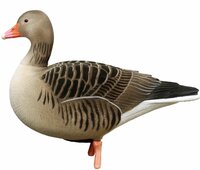 DKwai Grauwe gans lokker-set 6 stuks full body