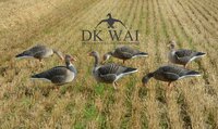 DKwai Grauwe gans lokker-set 6 stuks full body