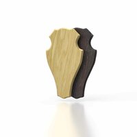 560865 Trofeeplank 40x22cm afgerond  donker incl uitsparing 