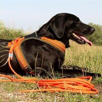 NIGGELOH FOLLOW Zweetwerk harnas voor honden