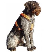 NIGGELOH FOLLOW Zweetwerk harnas voor hondenNIGGELOH FOLLOW Zweetwerk harnas voor honden