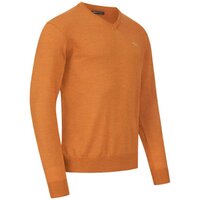 242009-021/325 Blaser Merino V-neck trui rust 
