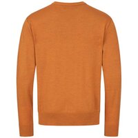 242009-021/325 Blaser Merino V-neck trui rust 