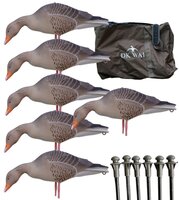 DK WAI Supreme Lightweight - Grauwe gans