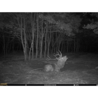 SEISSIGER Base-Cam LTE SUPERSIM-Edition Camouflage