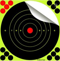 target sports 8'' splatter burst