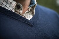 406070032 Seeland Pine V-neck