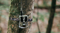 Hunter 4G Mini &ndash; Compacte wildcamera met AI-herkenning en laagste gebruikskosten