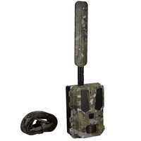 Hunter 4G Mini &ndash; Compacte wildcamera met AI-herkenning en laagste gebruikskosten