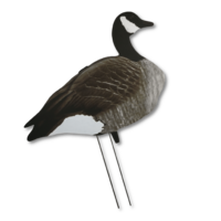 Big Al's Silhuet Canada gans