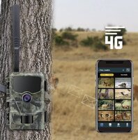 Stealth Gear Hedgehog 1080p 4G Wildcamera