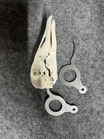 Ganzenpin Birdpin&ndash; Humaan en snel doden van ganzen  Professioneel jachthulpmiddel