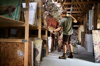 H&auml;rkila Fjell Shorts