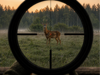 Steiner Ranger 6 1-6x24 Richtkijker