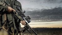 Pulsar Thermion 2 LRF 60