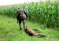 Jagersepp Wildsleeptuig Wildbergehilfe Berg &amp; Tal Premium de ultieme oplossing voor het veilig en effici&euml;nt bergen van w