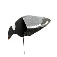 Sillosocks_pidgeon_headdown_1