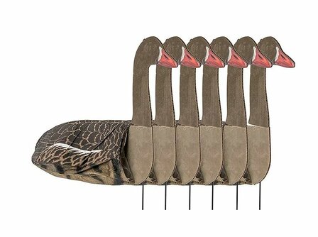 Sillosocks Pink Foot/Grey Lag Goose  grauwe gans kijkend 6 stuks