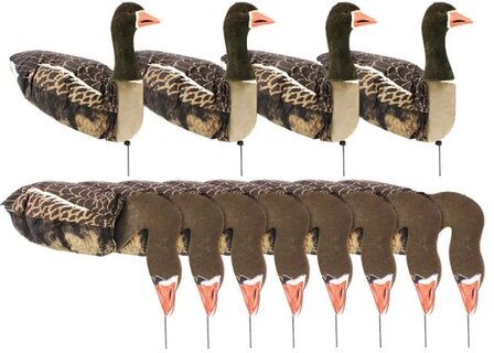 Sillosocks Pink Foot/Grey Lag Goose  grauwe gans Harvester pack 12 stuks