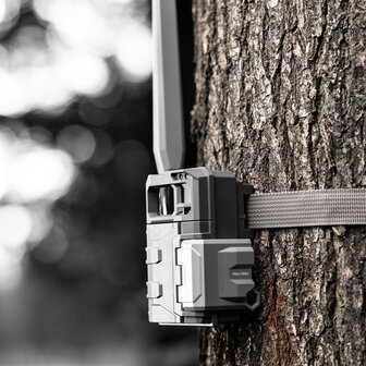 SPYPOINT LM2 trail camera